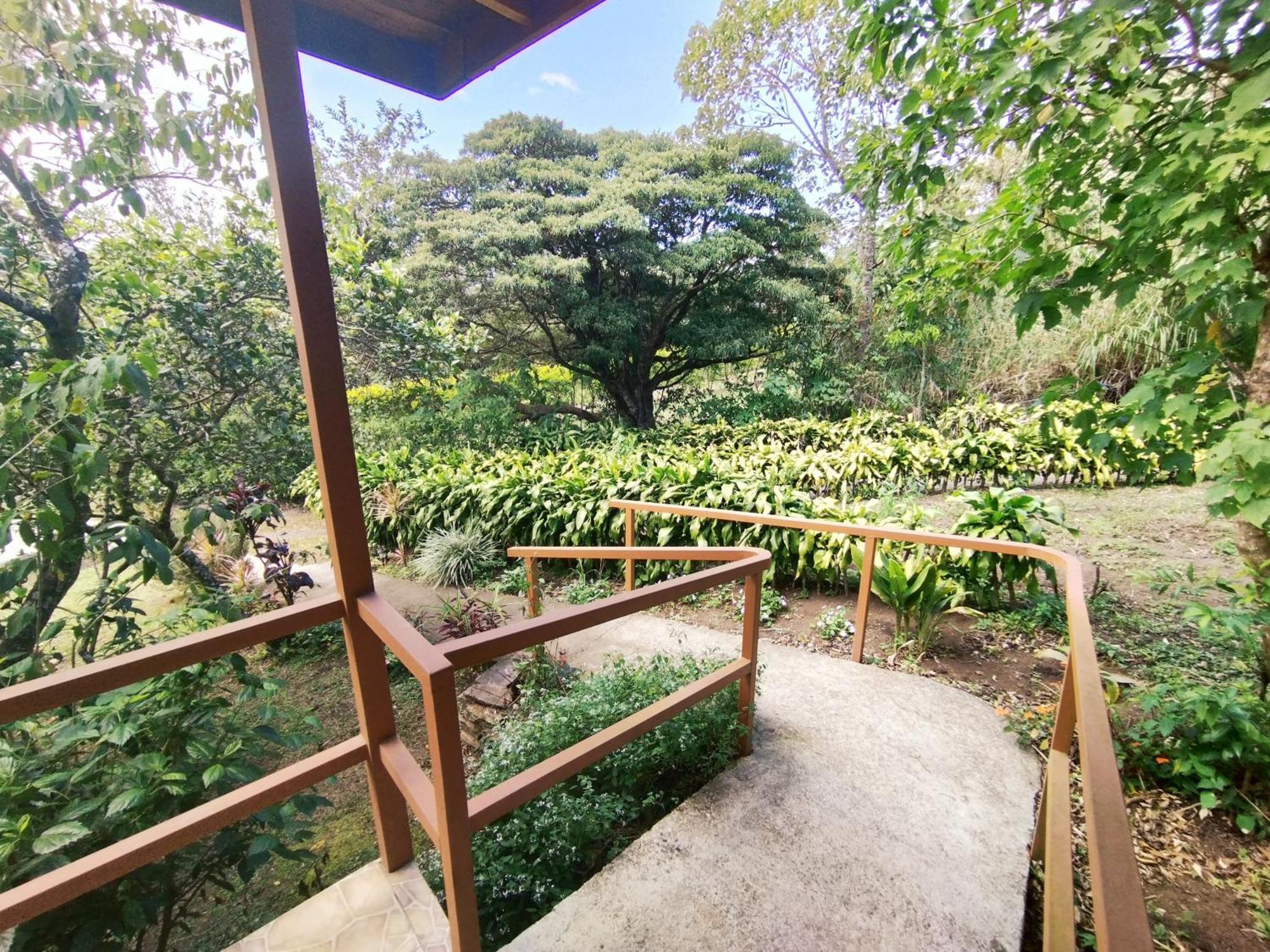 Las Marias Monteverde - Mountain View Cottages & Gardens Bagian luar foto