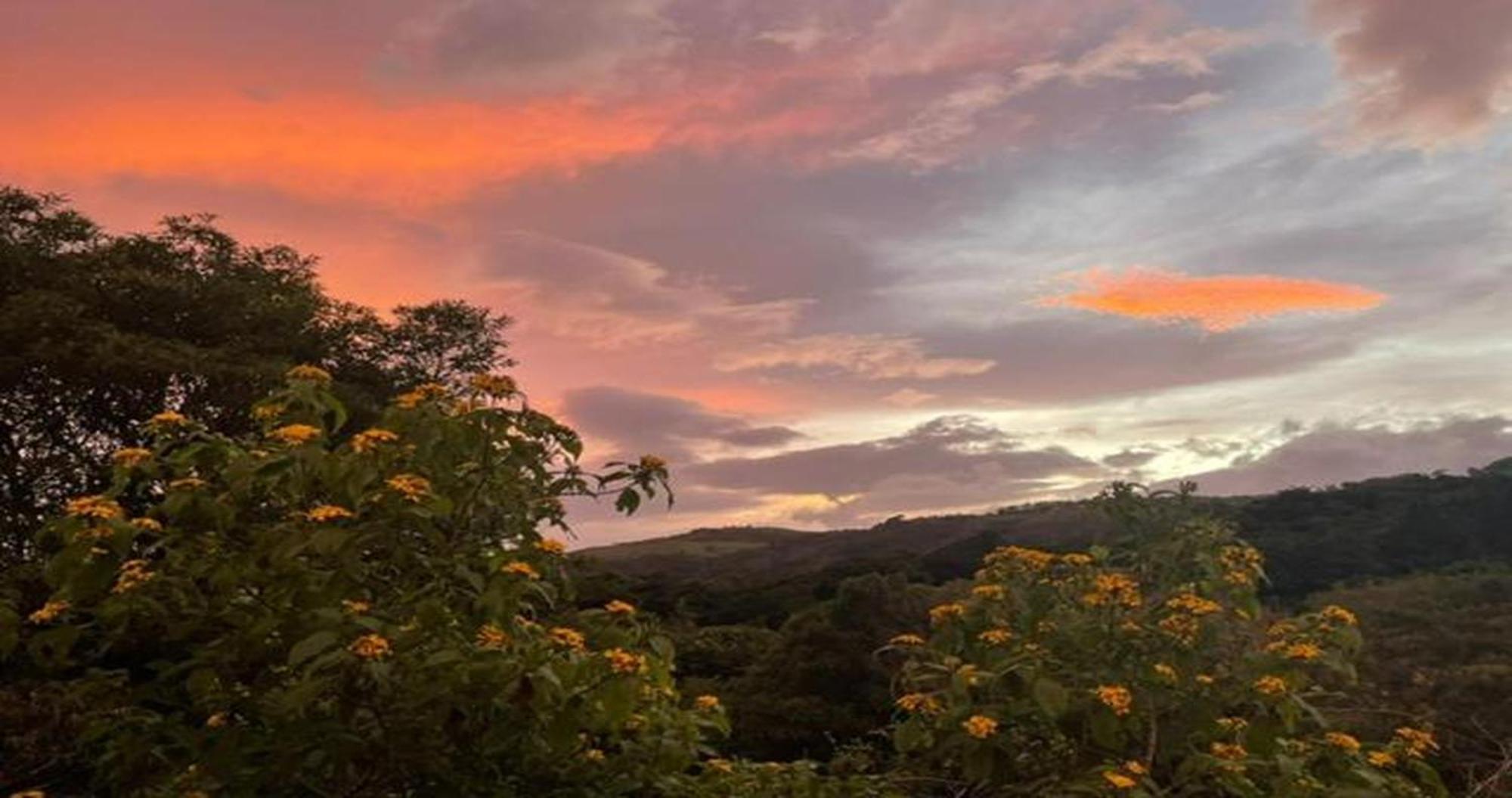 Las Marias Monteverde - Mountain View Cottages & Gardens Bagian luar foto